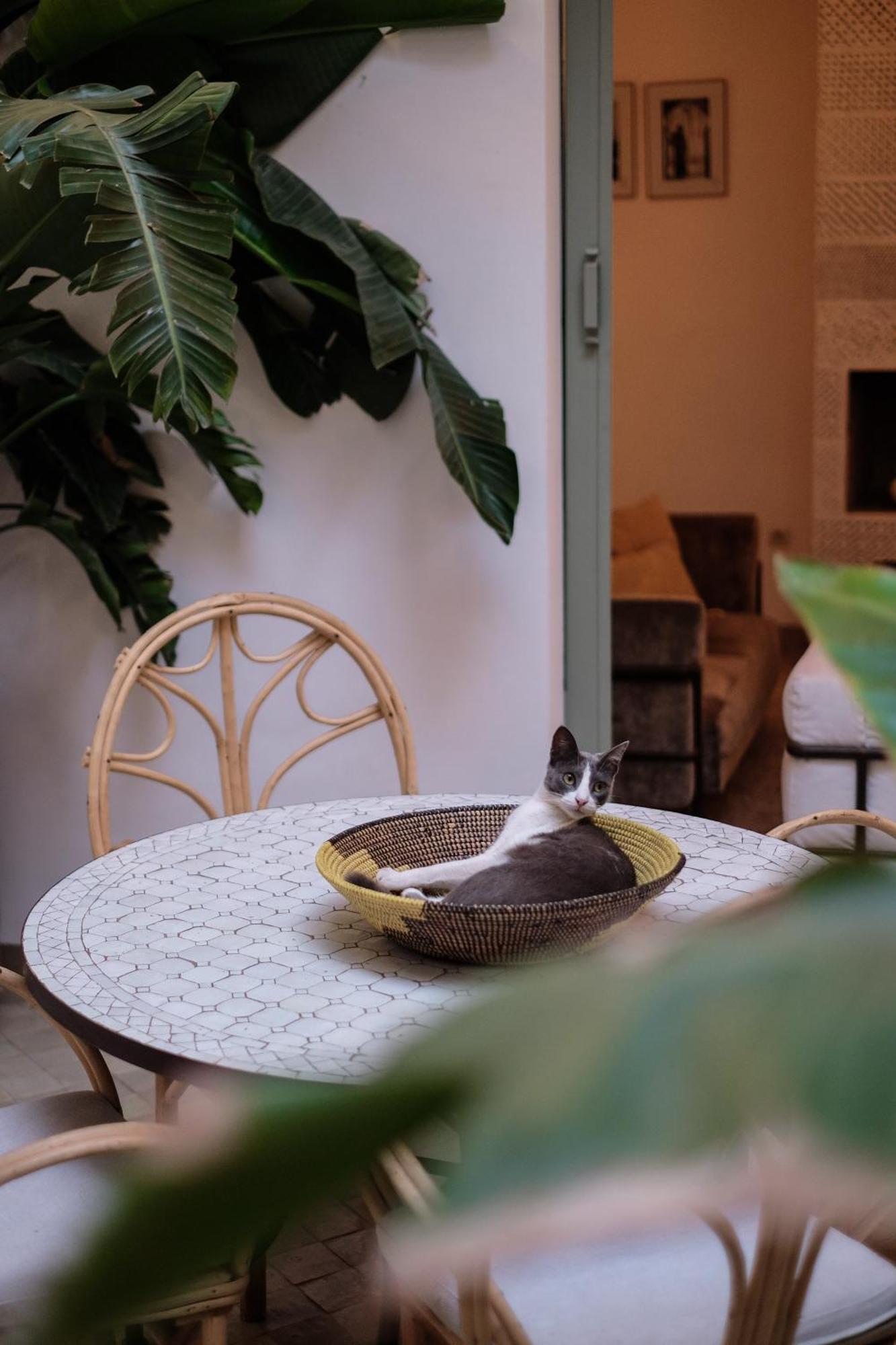 Riad Danka Marrakesh Exterior photo