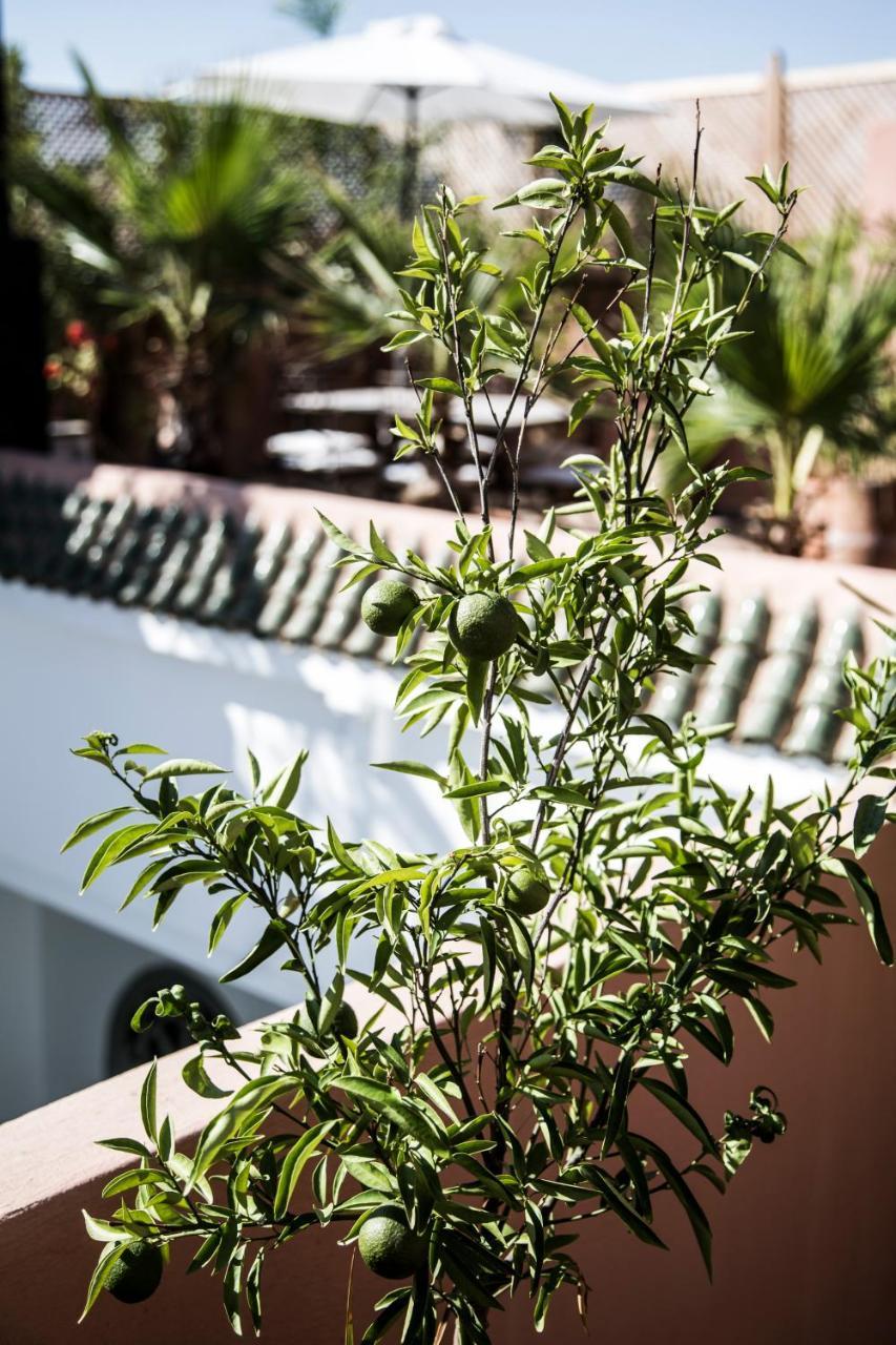 Riad Danka Marrakesh Exterior photo