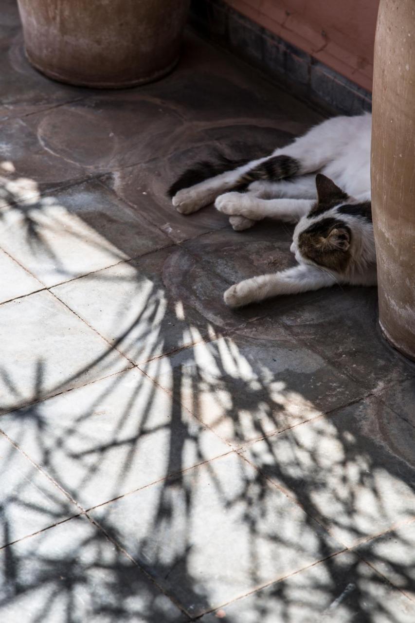 Riad Danka Marrakesh Exterior photo